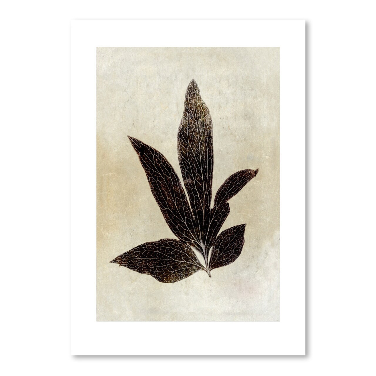 Sepia Leaf Collage I by Chaos &#x26; Wonder Design  Poster Art Print - Americanflat